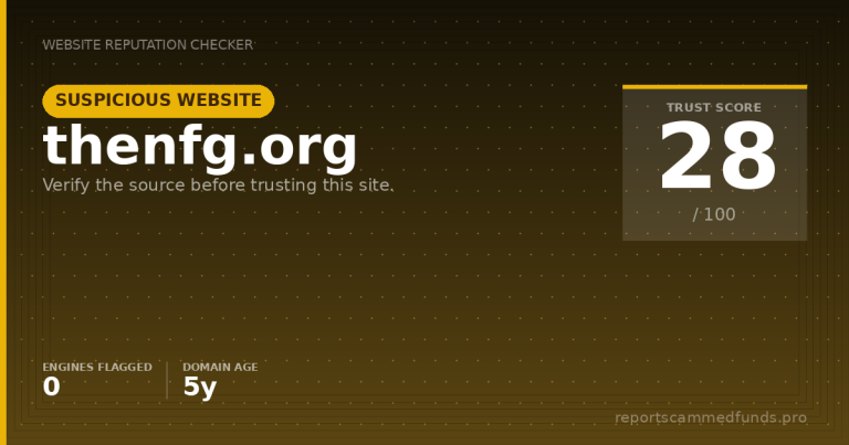 thenfg.org — Suspicious Website